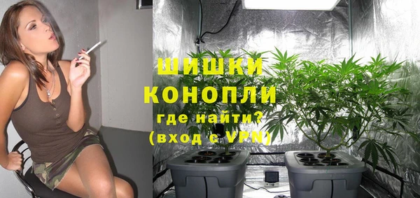 спайс Богданович